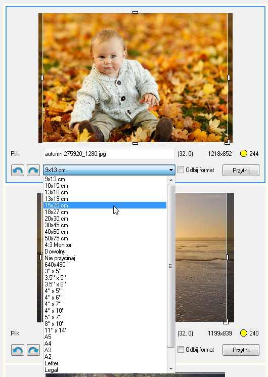 Zmiana formatu zdjęcia w programie JPGCrops